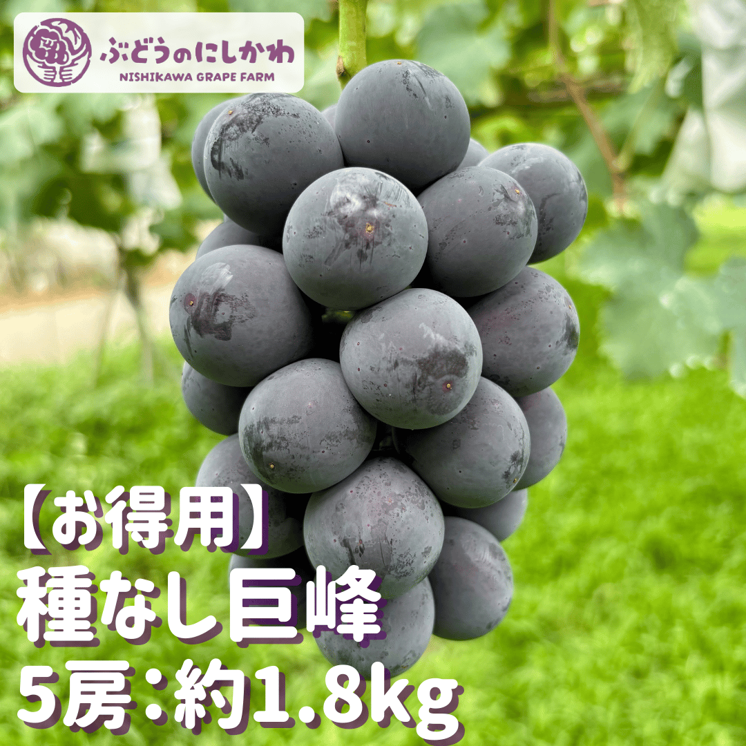 お得用】 種なし巨峰 5房：約1.8kg | ぶどうのにしかわオンラインショップ