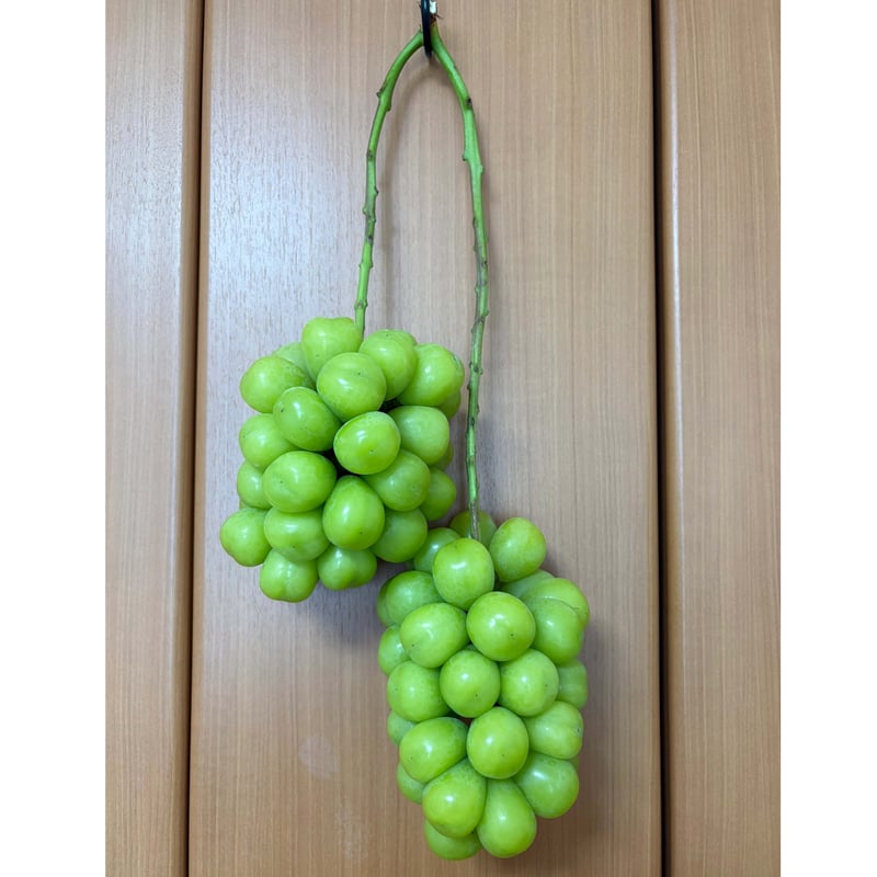 1名様限定】 双子シャインマスカット 1組：約1.5kg | ぶどうのにし