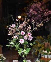 【毎月第一火曜日】　お花の定期便