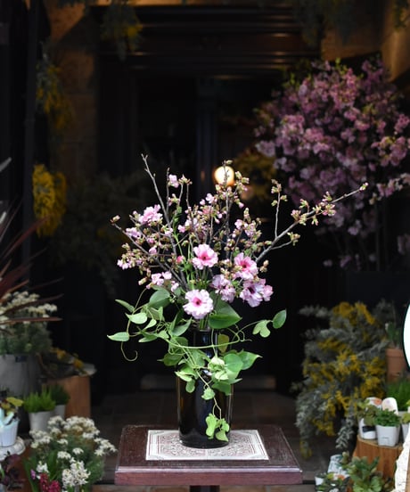 【毎月第一火曜日】　お花の定期便