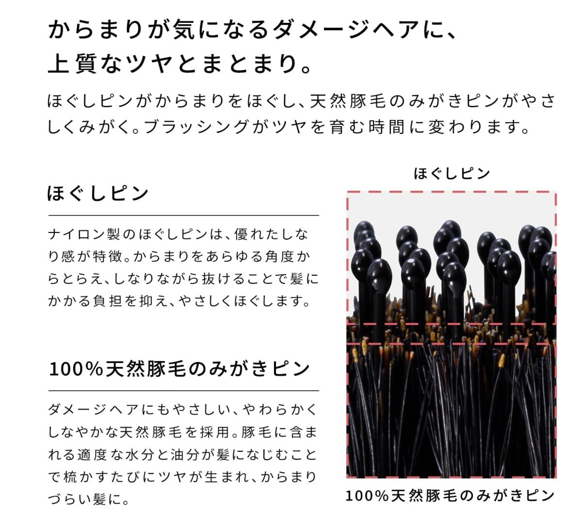 ReFa】エールブラシ レイ | IMPACT BEAUTY STORE