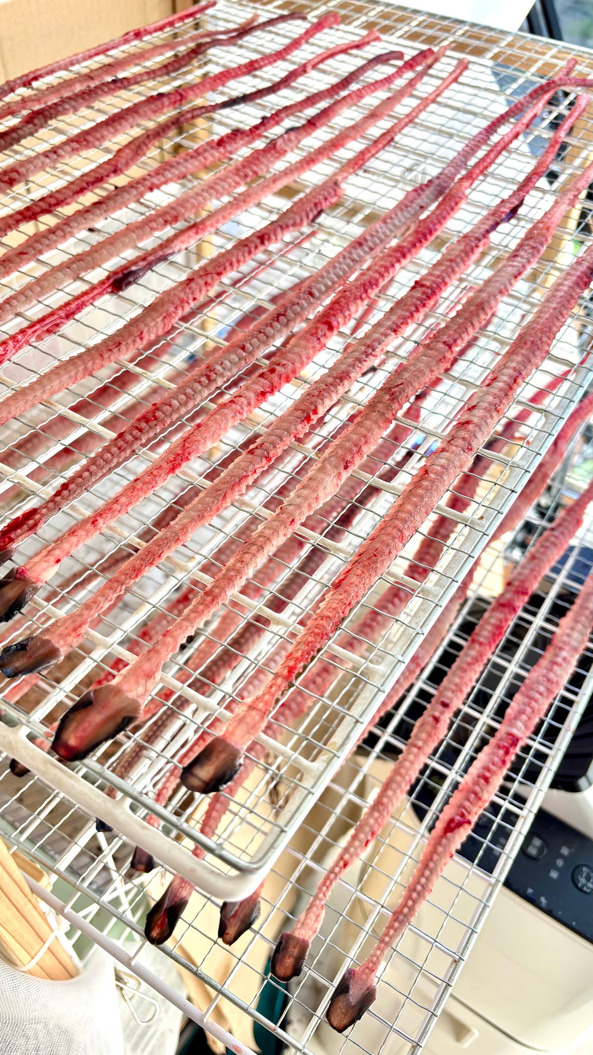 📮うなぎの骨ジャーキー 40g | Wan.DAGAshi-ya