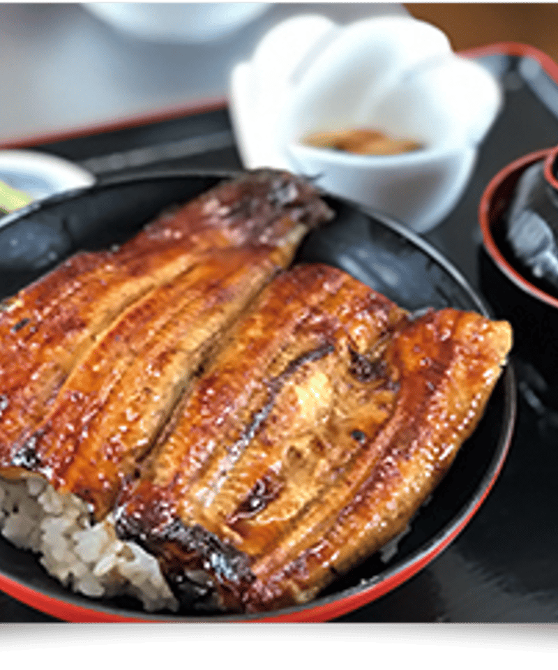 【300g】うなぎの骨　うなボーンジャーキー　カリカリ　ロングタイプ♪ 300g】うなぎの骨 うなボーンジャーキー カリカリ ロングタイプ