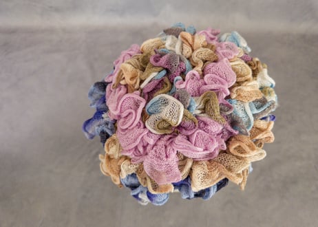 紫陽花 - Hydrangea