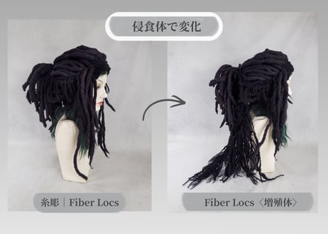 糸彫｜Fiber Locs