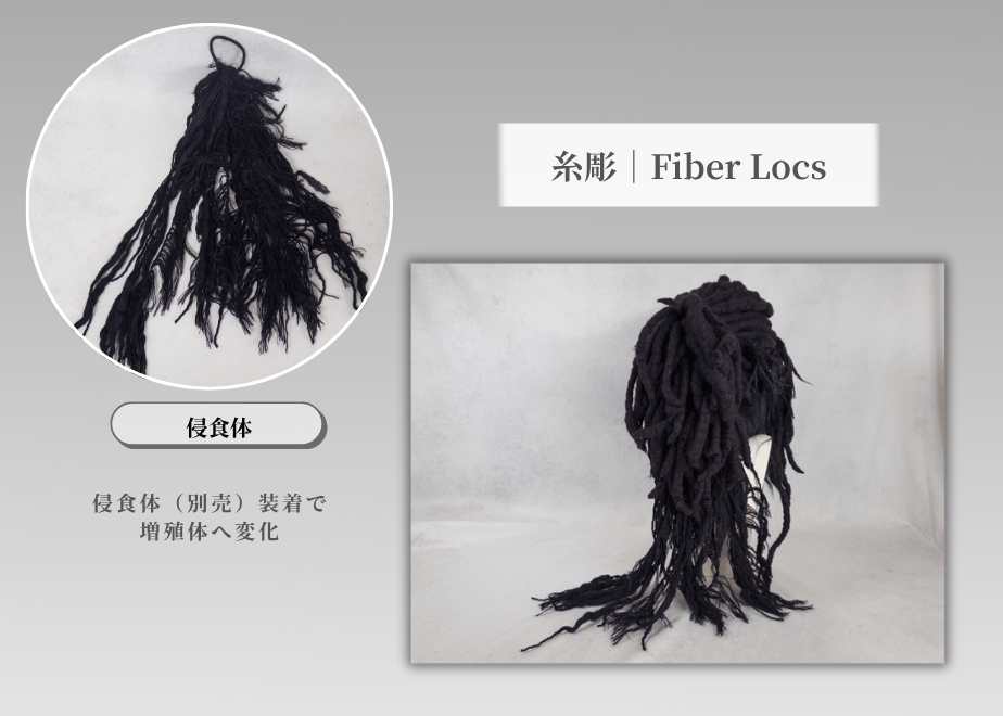 6a008370a2eab27b806cf1c0