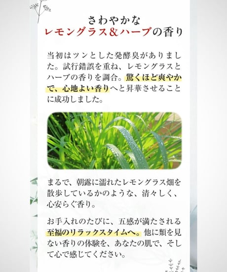 【定期便2ヶ月】美肌菌キャリアエッセンス