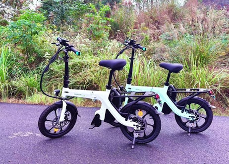特定原動機付自転車 EcoLink 自転車タイプ16インチ 　16歳以上免許不要　バイクタイプの特定自転車です 350W 高出力　特定小型原動機付自転車（法令に基づき公道走行可能）