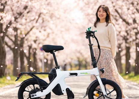特定原動機付自転車 EcoLink 自転車タイプ16インチ 　16歳以上免許不要　バイクタイプの特定自転車です 350W 高出力　特定小型原動機付自転車（法令に基づき公道走行可能）