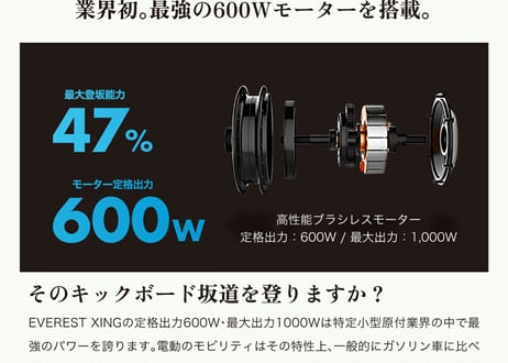 都市を駆け抜ける！EVEREST XING EX15 PRO 特定小型原付 電動キックボード【公道OK/6km歩道モード/ノーパンク/600W】特定小型原動機付自転車（法令に基づき公道走行可能）