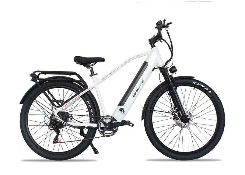 電動アシスト自転車 スポーツタイプ グラデーションカラー 充電器付き et004044.jpg