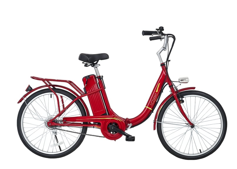 新品　折り畳みアシスト型電動自転車 E-BIKE 24インチ Amazon | 2024最新型 電動アシスト自転車 折り畳み自転車 20
