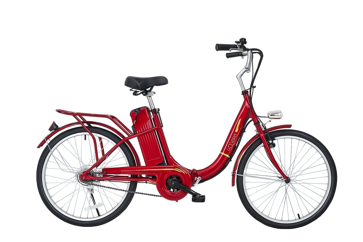 新品　アシスト電動自転車「EBIKE」24インチ　ワインレッド 新品 アシスト電動自転車「EBIKE」24インチ ワインレッド 24インチの