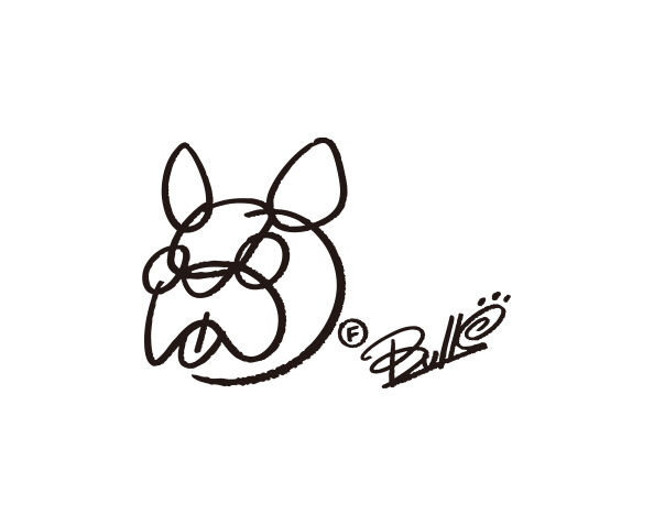F BULL'S STORE