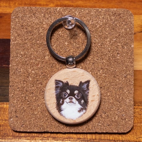 ロングコートチワワ | STORES