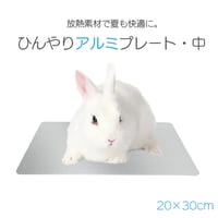 ひんやりアルミプレート（中） 小型犬 猫 うさぎ ケージ 暑さ対策 ひんやり マット ペット用品 小動物用品 モルモット Mサイズ 冷感 プレート
