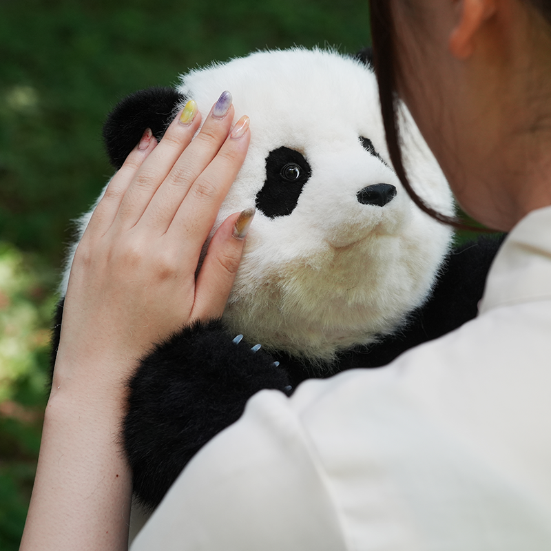 5ヶ月齢座り姿のリアルパンダ シャンシャン（IDナンバーカード付