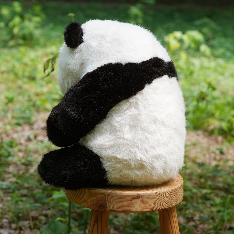 5ヶ月齢座り姿のリアルパンダ フーバオ | パンダプラネット