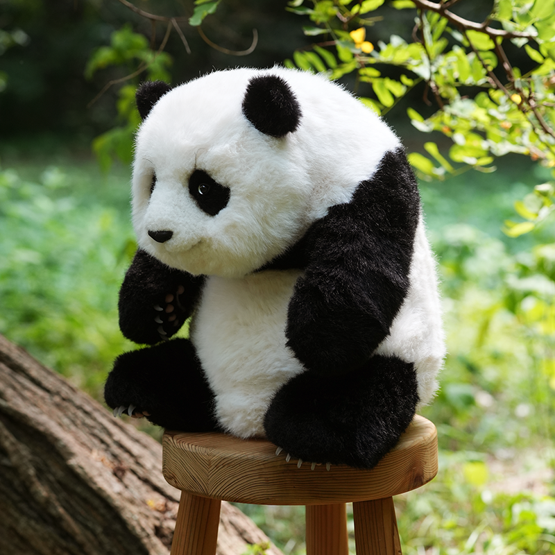 5ヶ月齢座り姿のリアルパンダ フーバオ | パンダプラネット