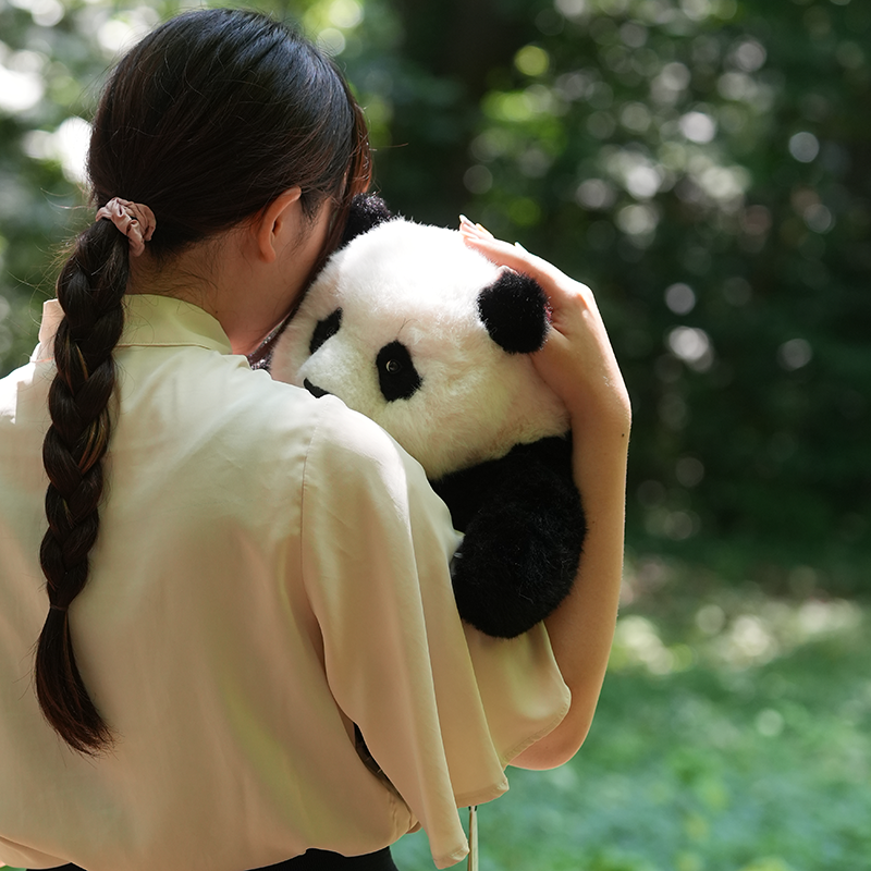 5ヶ月齢座り姿のリアルパンダ フーバオ | パンダプラネット