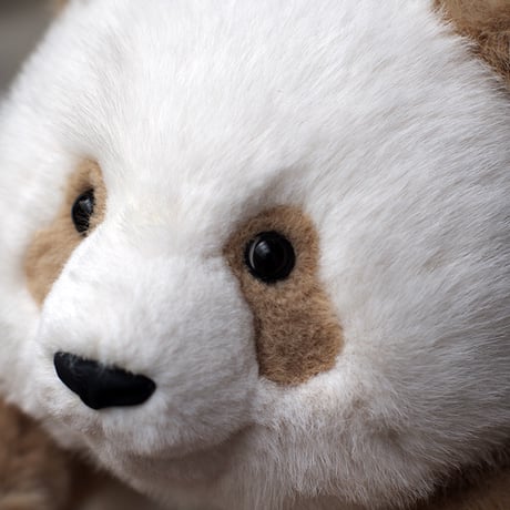 CATEGORY ぬいぐるみ | パンダプラネット