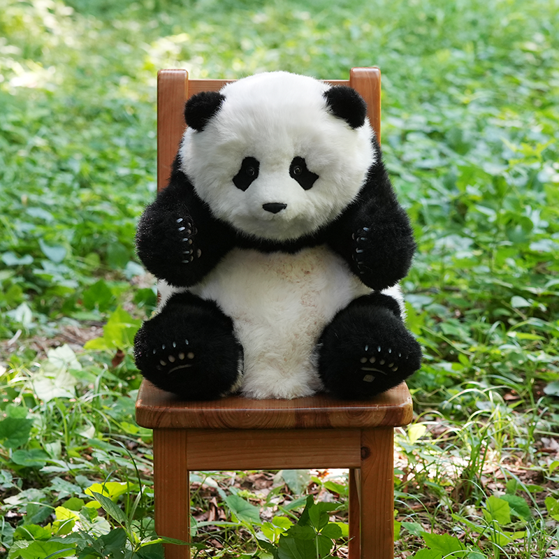 ５ヶ月齢？シャンシャン(香香)ぬいぐるみ　リアル 5ヶ月齢座り姿のリアルパンダ シャンシャン（IDナンバーカード付