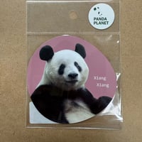ステッカー（シャンシャン）