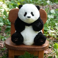 5ヶ月齢座り姿のリアルパンダ シャンシャン（IDナンバーカード付