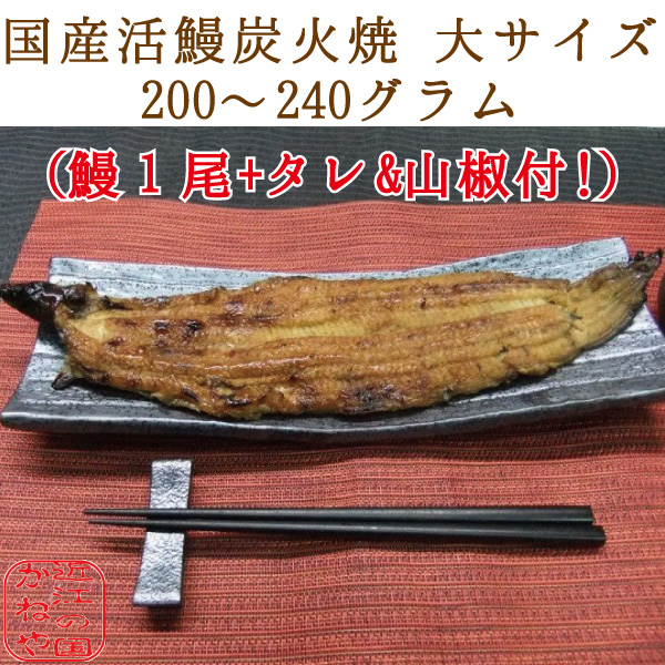 国産 活鰻 炭火焼 炭焼き 蒲焼き 大サイズ 200〜240グラム 長焼き 1尾