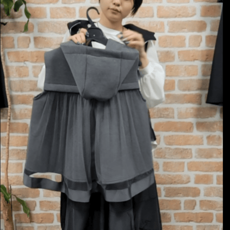 バックオーガンジーベスト