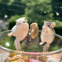＜ふわふわフロッキー＞ノリノリ♪チンチラ