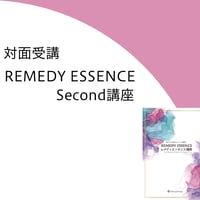 REMEDY ESSENCE：Second講座