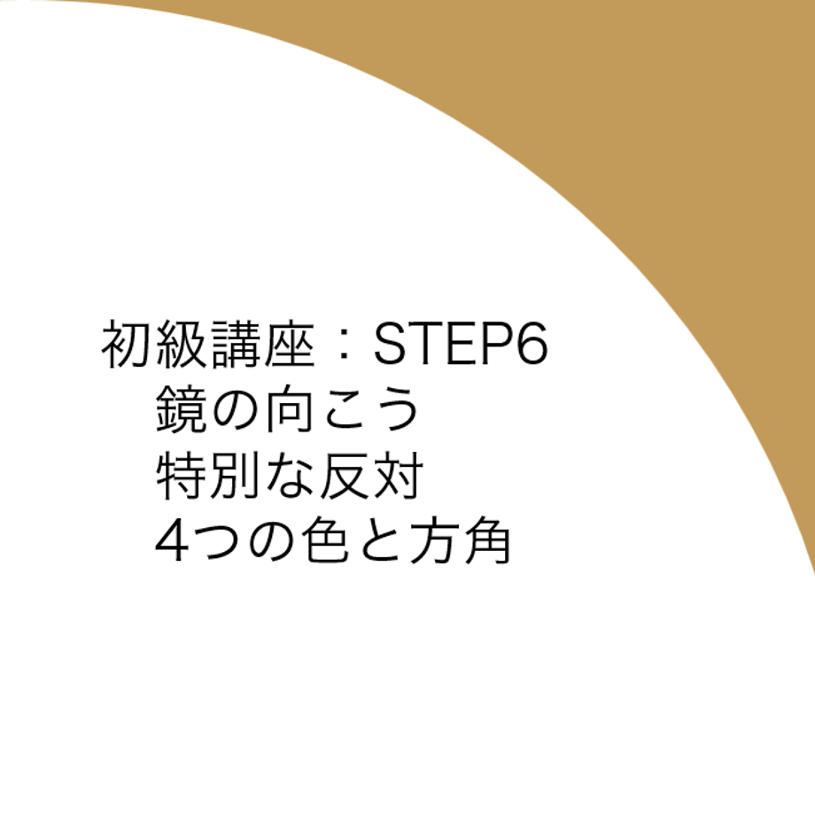 681f023a3e68ea504c12cf79