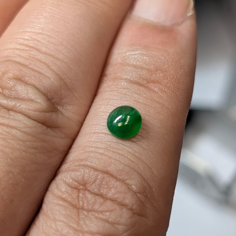 オウムガイ　ハーフカット　額入 オウムガイハーフカット(B品) | 博物と古物の奇妙な雑貨店