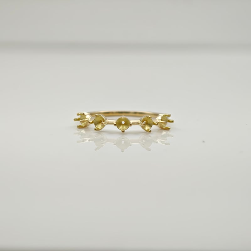 セミオーダー】 5 STONE RING -5 ストーンリング- | 鈴木屋byJOA STORE