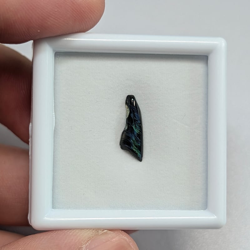 【値下げ！】グチミエコ ガラスのオブジェ【アンタカラナ】刻印入り GIA】白蝶真珠蝶板（シェルヒンジリガメント）0.74ct 14.22×5.02