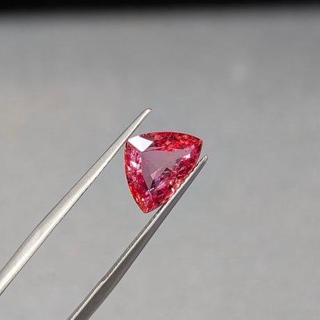 トリリアント出品※ CATEGORY トリリアント | 鈴木屋byJOA STORE