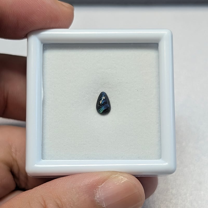 GIA】白蝶真珠蝶板（シェルヒンジリガメント）0.22ct 6.40×4.07mm