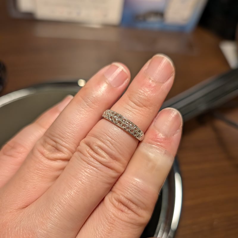 PT950ローズカットダイヤモンド 0.340ct 2列パヴェリング 12号 | 鈴木