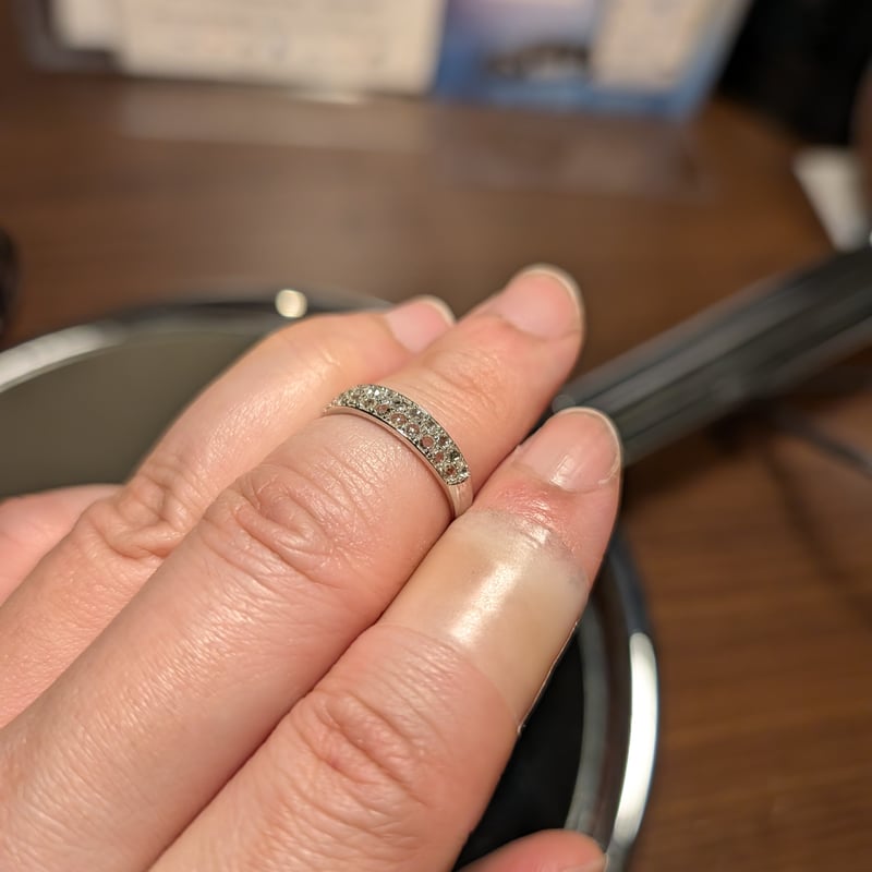 PT950ローズカットダイヤモンド 0.340ct 2列パヴェリング 12号 | 鈴木
