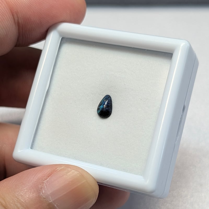 GIA】白蝶真珠蝶板（シェルヒンジリガメント）0.22ct 6.40×4.07mm