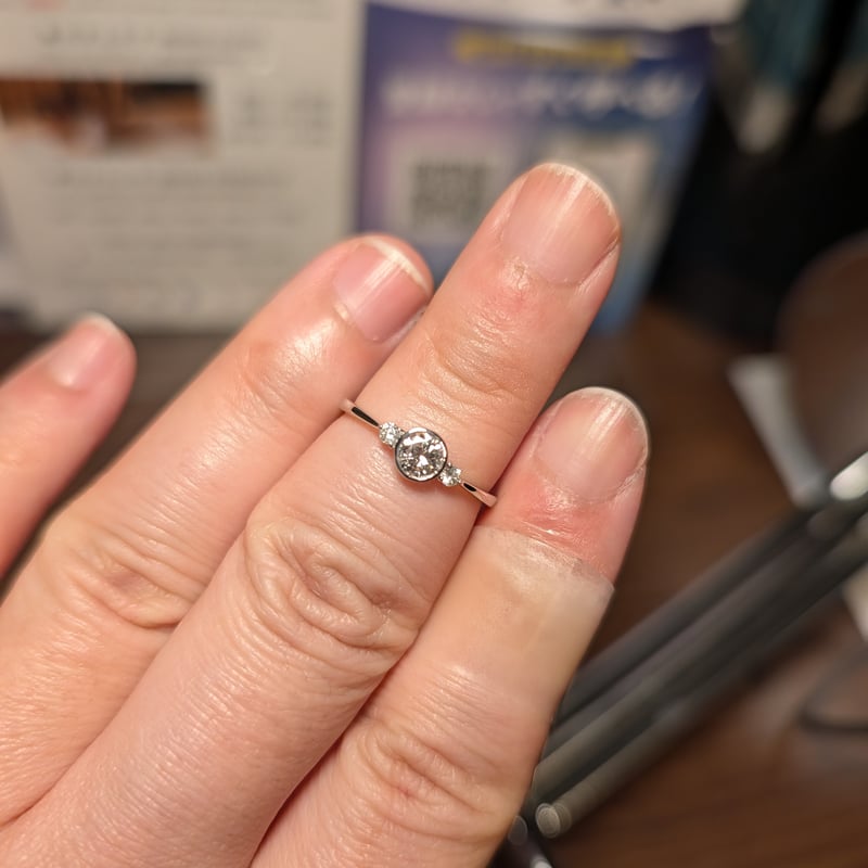 PT900 ダイヤモンド 0.309ct 0.060ct ベゼルリング 12号 | 鈴木屋by