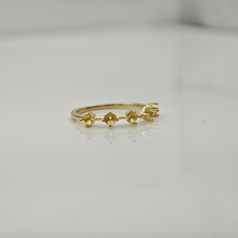 セミオーダー】 5 STONE RING -5 ストーンリング- | 鈴木屋byJOA STORE