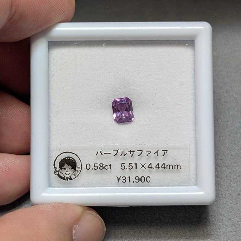 ファインハーブ クーポン対象】THE NORTH FACE PURPLE LABEL ノースフェイス