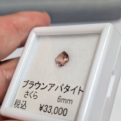ブラウン アパタイト 6mm クッション さくら インカット ルース　シミズ貴石