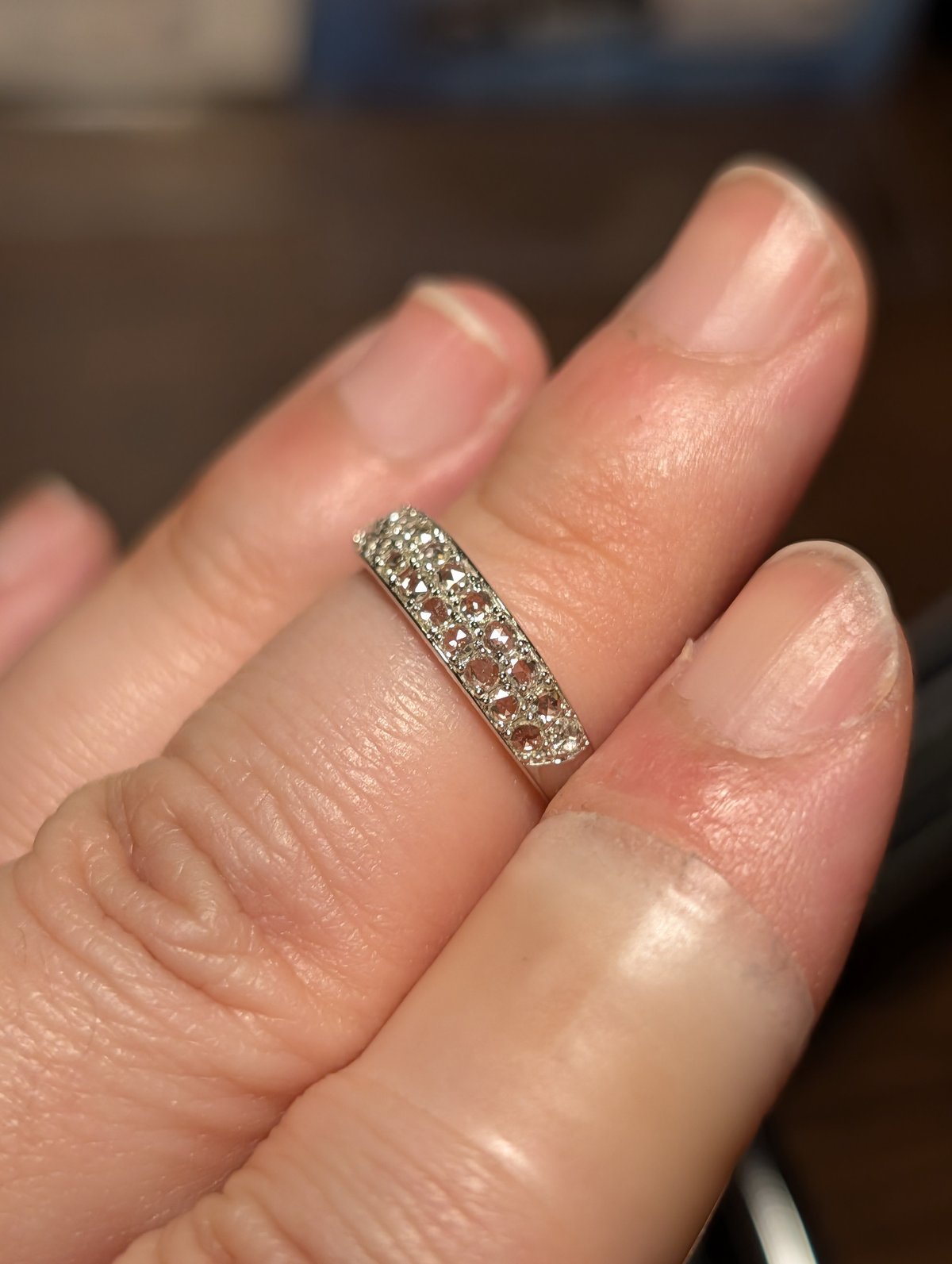PT950ローズカットダイヤモンド 0.340ct 2列パヴェリング 12号 | 鈴木 