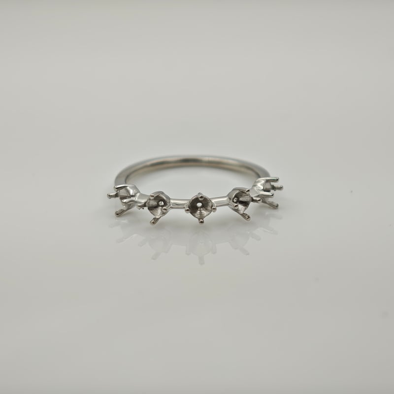 aオーダーリング セミオーダー】 5 STONE RING -5 ストーンリング- | 鈴木屋byJOA STORE
