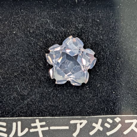 スコロライト | STORES