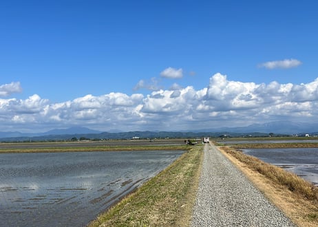 新潟の米とお茶（ポスト投函便）