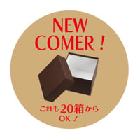 CHOCO フェザー式焼き菓子 60入